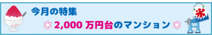 7月の特集　画像