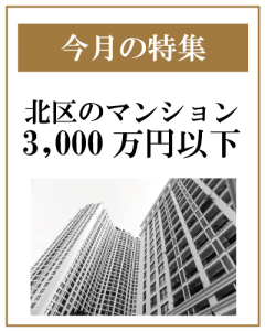 特集11月縦