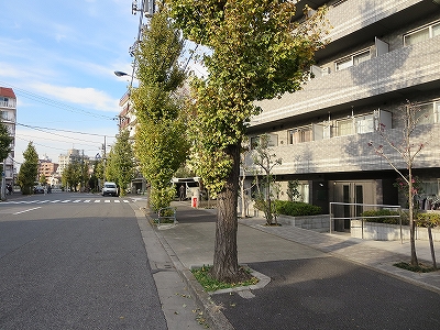 東京都北区　田端　不動産　トウリハウジング　マンション　データベース　ヴォーガコルテ田端