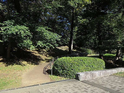 東京都北区　桐ヶ丘　不動産　トウリハウジング　地域情報　北区立赤羽台さくら並木公園