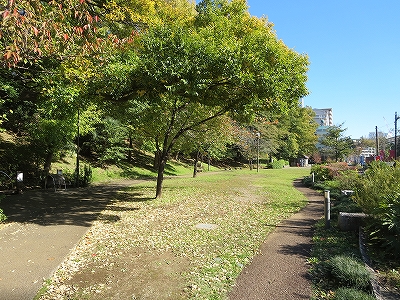 東京都北区　桐ヶ丘　不動産　トウリハウジング　地域情報　北区立赤羽台さくら並木公園