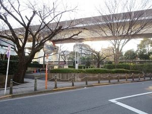 東京都　北区　不動産　トウリハウジング　王子　地域情報　北とぴあパーク