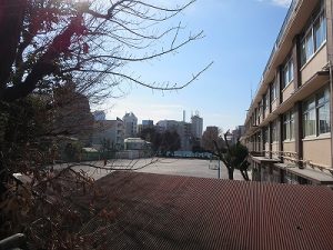 東京都　北区　不動産　トウリハウジング　滝野川　地域情報　北区立谷端小学校