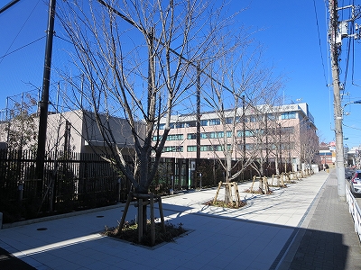 東京都　北区　不動産　トウリハウジング　王子　地域情報　小学校　北区立王子第一小学校