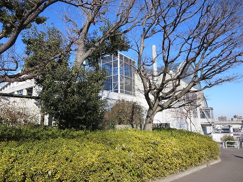 東京都　北区　不動産　トウリハウジング　地域情報　北区立十条台小学校温水プール（パノラマプール十条台）