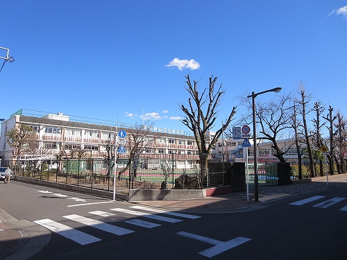 東京都　北区　不動産　トウリハウジング　西ケ原　地域情報　小学校　北区立西ケ原小学校