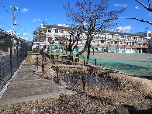 東京都　北区　不動産　トウリハウジング　西ケ原　地域情報　小学校　北区立西ケ原小学校