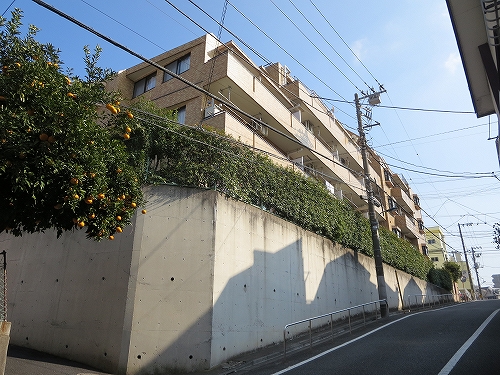 東京都　北区　不動産　トウリハウジング　赤羽西　マンション　データベース　ライオンズマンション西が丘第２